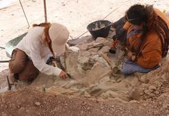 Çankırı'nın tarihini değiştiren keşif! Filler, gergedanlar ve zürafalar; Tam 9 milyon yıl