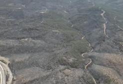 5 gün sonra kontrol altına alınan yangından geriye yürek burkan görüntüler kaldı