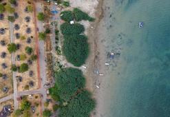 Sakarya'da Sapanca Gölü için tarihi karar! Ticari ve konut abonelikleri takibe alınacak