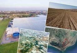 Su ürünlerinde Adana’ya çağ atlatacak proje: Bölge ekonomisini uçuşa geçirecek!