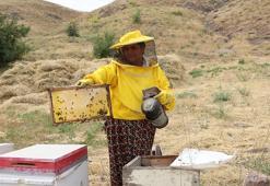 Yüksekovalı kadının büyük başarı hikayesi! 30 yıl önce devletin verdiği 5 kovanla arıcılık yapmaya başladı