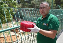 Gaziantep'in aslan ve kaplanlarına özel menü; buzlu et! Sıcaklarla böyle mücadele ediyorlar