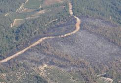 Bursa'da orman yangınları sonrası yeni karar! Valilik ve belediye harekete geçti