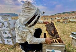 Coğrafi İşaretli Munzur Balı'na Avrupa'dan lezzet ödülü: Jüri hayran kaldı!