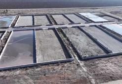 Batman'da kanalizasyon atığı gübreye dönüştürülüyor! Çiftçiye ücretsiz tarım desteği olarak veriliyor