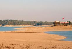 Adana'nın sessiz tehlikesi: Uzmanlardan şok edici uyarı: 2040 yılına dikkat!