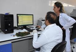 Şırnak'ta bulunan iki bitki, bilim dünyasını heyecanlandırdı: Alzheimer ve diyabet tedavisine umut olabilir!