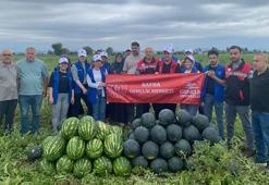 Samsun'da genç gönüllüler karpuz hasadına el uzattı! Şehirden kaçıp doğayla iç içe geçtiler