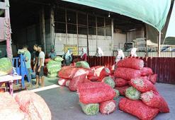 Acarlar'da yaşayan herkes gece-gündüz çalışıyor: Onların lügatında 'tatil' yok! Üniversitelerde tez konusu oldu