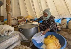 Tunceli'de 3 bin rakımlı yaylalarda zorlu mesai başladı