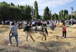 Bayburt'ta "6. Harman Festivali" başladı! Köydeki müzede gerçekleştiriliyor