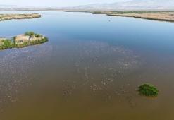 Eber, Konya'daki Akşehir Gölü'nün kaderini yaşayabilir! Uzmanlardan korkutan uyarı: '2,5-3 yıl içinde tamamen kuruyabilir!'