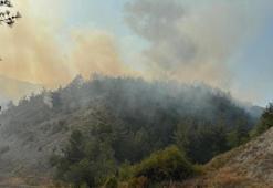 Karabük'te orman yangını! Ekipler müdahale ediyor