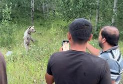 Yakın temas, doğal yaşamı tehdit ediyor