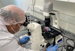 Bolu'da beyin kanserinde devrim yaratacak buluş! Patenti alındı, tamamen yerli teknolojiyle üretildi