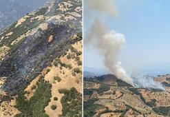 Aydın Efeler'deki yangının sebebi ortaya çıktı! Gelin, kayınpedere kızdı ateşi yaktı