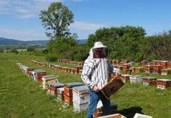 Köyüne dönene doğrudan hibe! 2026 tersine göç programı başlıyor: İşte başvuru şartları