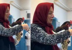 Giresun'da yeni 'davuk' vakası! Boğazına iğne kaçan tavuk hastanede ameliyata alındı