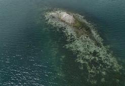 Sapanca'da göl suları çekilince ortaya çıktı! 10 santimetre daha çekilirse acil eyle planı devreye sokulacak