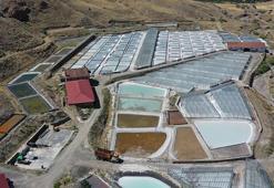 Erzincan'da 40 derece sıcakta asırlık gelenek devam ediyor