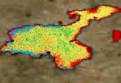 Van Gölü'ndeki kirlilik alarm veriyor! Uydu görüntülerine yansıdı