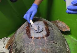 Yurt dışından 5 bin dolara getirilen cihazı Türkiye'de ürettiler! İlk kez denendi, takibi artık daha kolay olacak