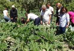Van'da 1 günlük iş 2 saatte bitiyor! Köyde denedi ve tuttu, artık tonlarca üretiyor
