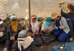 Hakkari Yüksekova'da berivanlara süt hijyeni eğitimi verildi