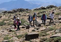 Van'da 3 bin rakımda keşfedildi! İlk gün 300 tane bulundu, sayı her geçen gün artıyor