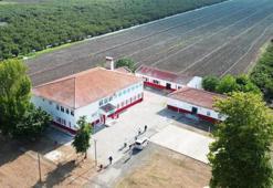 Samsun'a 4 yeni devlet hastanesi birden! İşte hizmete başlayacağı tarih