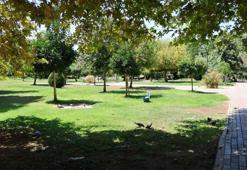 Adana'da 95 yılın rekoru kırıldı! Tüm ilçelerde hissedildi, 55 dereceyi aştı