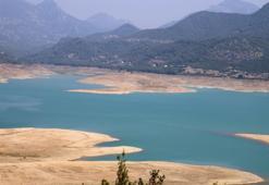 Adana'da narenciye can çekişiyor: Rekolte 100 bin tona düştü