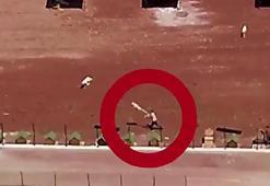 Kars'ta korkunç görüntüler! Hayvan barınağında köpeklere işkence ediliyor: 'Hayvan dostlarımız bize emanet'