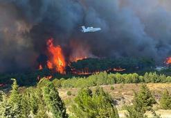 Çanakkale'de yangın büyüdü villalara sıçradı! Tahliyeler devam ediyor