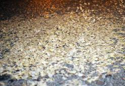 Akyazı'da her yer beyaza büründü: Kar değil, ölüm dansı!