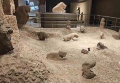 Şanlıurfa Arkeoloji Müzesi giriş ücreti, açılış, kapanış saatleri ve yorumları