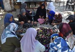 Gaziantep'te kışa güneşle hazırlık başladı! 'Kurutmalık Deposu' kadınları imece usulüyle hazırlanıyor