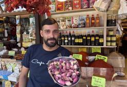 Antep fıstığı tezgaha indi: Yeni mahsulün kilosu 500 TL oldu