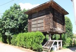 Samsun'da 150 yıldır ayakta: Görenler ona Serendi diyor!