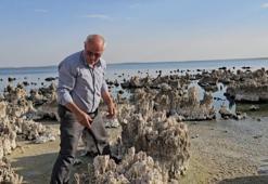 Van Gölü kuraklık nedeniyle alarm veriyor! Altından bambaşka bir tarla çıkıyor