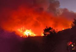 Hatay'da orman yangını! 2 mahalle tahliye edildi