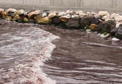 Tekirdağ sahilinde korkutan görüntü: Kızıla boyandı