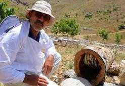 Kahramanmaraş'ta dedesinden kalma yöntemle üretti, sonuca kendisi bile şaşırdı: 'En birinci ürün bunda olur!'