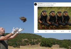 Veteriner hekimden dikkat çeken açıklama: Keklikler sanıldığı gibi kene yemez