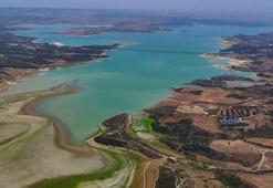 Adana'da alarm verildi! Yüzde 15'e düştü: Kötü sonuçlar doğuracak