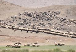 5 ay sürdü, 30 gün bu yolu yürüyecekler! Mardin, Batman ve Şanlıurfa'da başladı