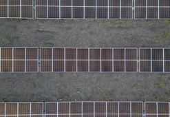 Van'da devlet desteğiyle kurdu! Yıllık 800 milyon lira kazanç sağlıyor