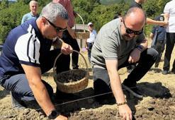 Kilogramı yarım milyon TL! Dünyanın en nadide baharatı yeniden ekildi! Tarihi hasat başladı