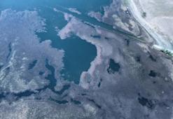 Çorum'da gölet yosunla kaplandı: Yardım çağrısı yapıldı