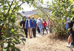 Zonguldak'ta fındık tarlası gönüllülerin spor sahası oldu!